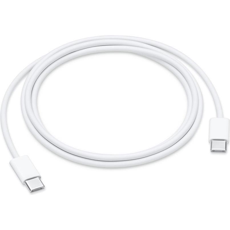iPhone charger
